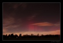Polarni_zare_2311