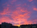 IMG_3767