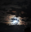 IMG_0003_1