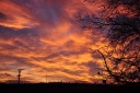 DSC_0112_e
