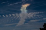 20150711_120010_8792.jpg