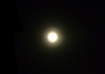 mesic-v-korone1