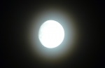 mesic v aureole-1