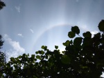 IMG_20230727_183517