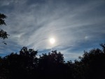 20230905_162817