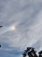 20230905_162909