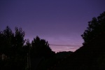 IMG_5920