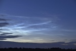 _DSC5614_01