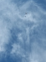 20250529_164722.jpg