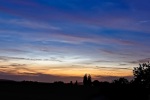 DSC03707 - B.jpg
