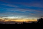 DSC03710 - B.jpg