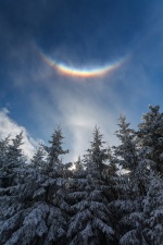 IMG_8708x-Enhanced-NR copy