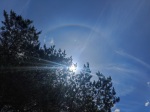 opsane-halo-130327