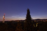 IMG_3990.jpg