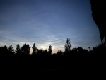 IMG_3830.jpg