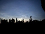 IMG_3833.jpg