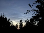 IMG_3839.jpg