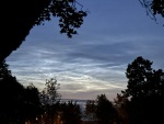 IMG_3880.jpg