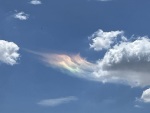 IMG_0273.jpeg