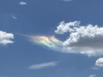 IMG_0274.jpeg