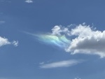 IMG_0275.jpeg