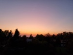 20261005_184403(1)